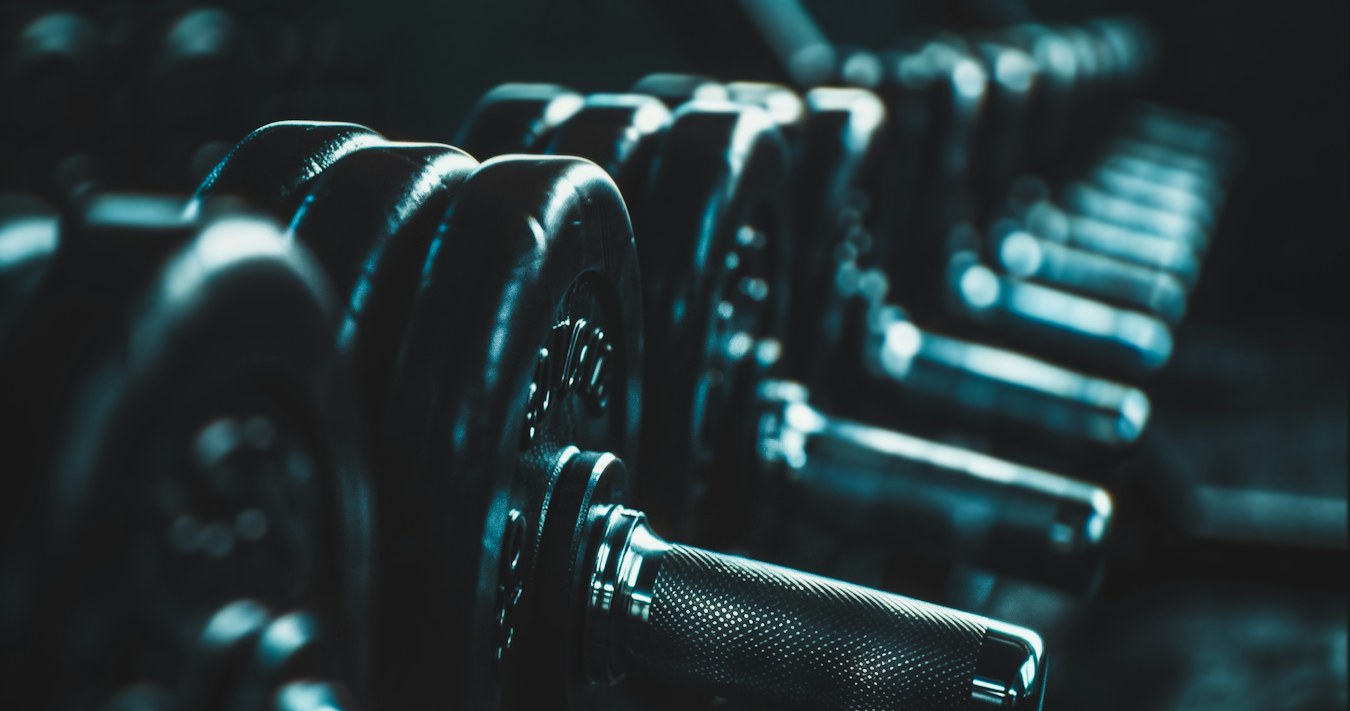 Row of dumbbells on a rack